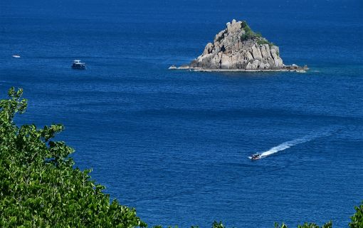 Koh Tao: Where the Island Ends and the Underwater World Begins