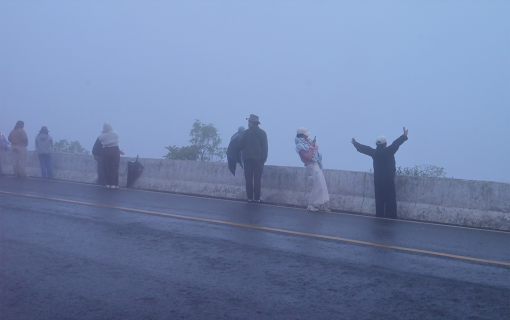 Feel the Mountain Breeze — Doi Inthanon & Pha Dok Siew Trail, Chiang Mai
